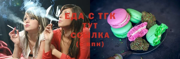 гидра Вяземский