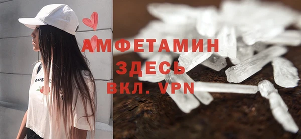 гидра Вяземский