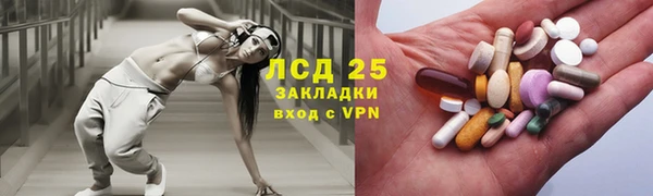 гидра Вяземский